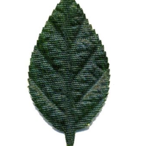 Folhas De Algodão - Modelos Diversos