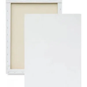 Tela P/pintura 20x30