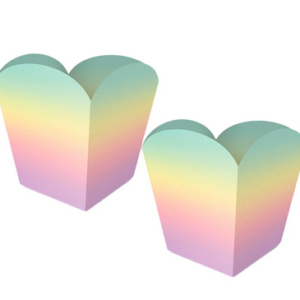 Cachepot Ombré Arco íris - 04 Unidades