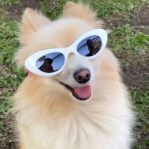 10 óculos Balada Texto Personalizado Sortido Ou Escolha